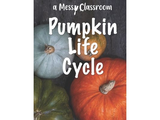 Pumpkin Life Cycle