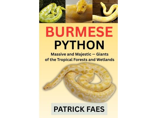 Burmese Python: Massive and Majestic - Giants of the Tropical Forest and Wetlands
