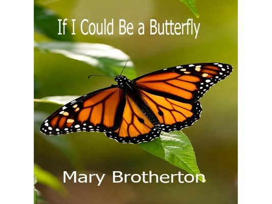If I Could Be A Butterfly