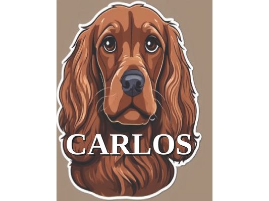 Carlos