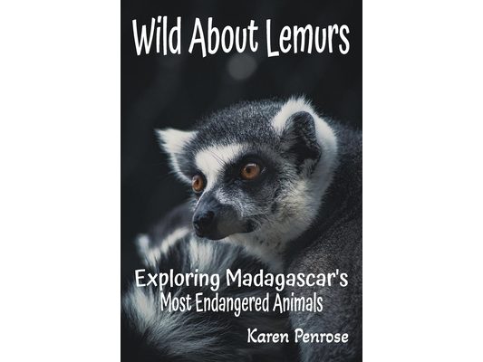 Wild About Lemurs: Exploring Madagascar's Most Endangered Animals: Facts for Kids/Rainforest Animals/Ecosystems/Wildlife Conservation/Indri/Aye-Aye/Ri