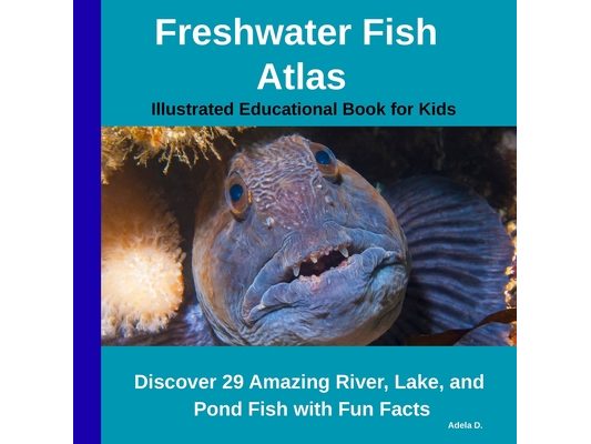 Freshwater Fish Atlas - Illustrated Educational Book for Kids: Discover 29 Amazing River, Lake, and Pond Fish with Fun Facts