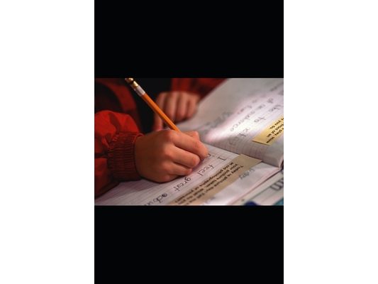 Your First Steps in Dutch: A Complete Guide to A1 Mastery