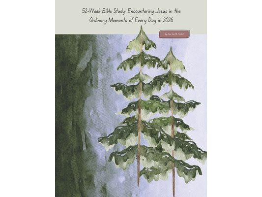 52-Week Bible Study: Encountering Jesus in the Ordinary Moments of Every Day in 2026: From Genesis to Revelation