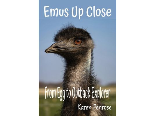 Emus Up Close: From Egg to Outback Explorer: Facts for Kids/Australian Animals/Flightless Birds/Outback/Wildlife/Adaptations/Ecosystems/Conservation/S