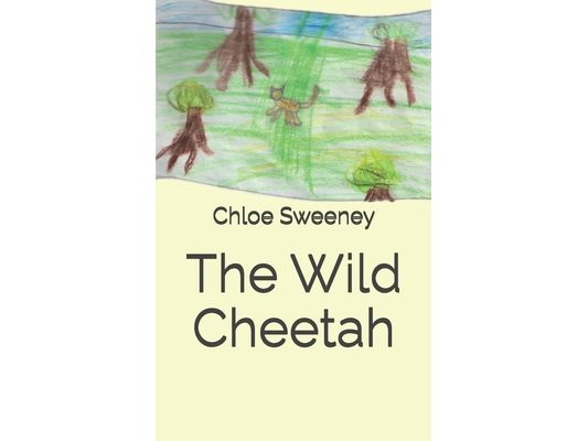 The Wild Cheetah