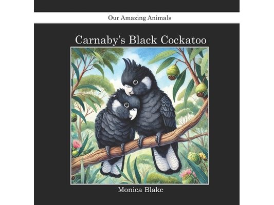 Carnaby's Black Cockatoo: Our Amazing Animals