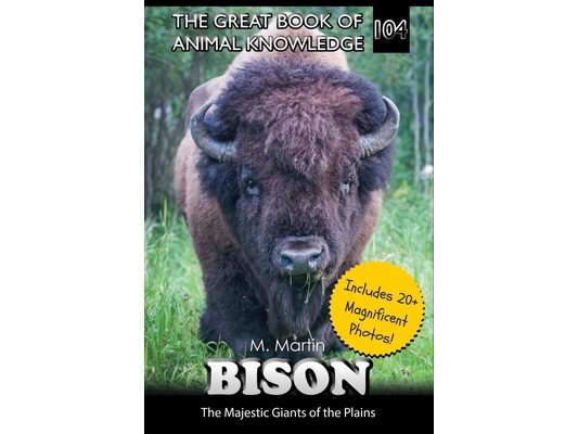 Bison: The Majestic Giants of the Plains