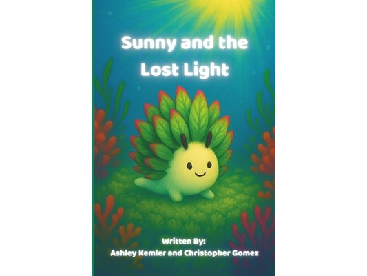 Sunny and the Lost Light