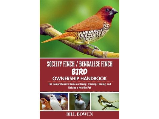 Society Finch / Bengalese Finch Bird Ownership Handbook: The Comprehensive Guide on Caring, Training, Feeding, and Raising a Healthy Pet