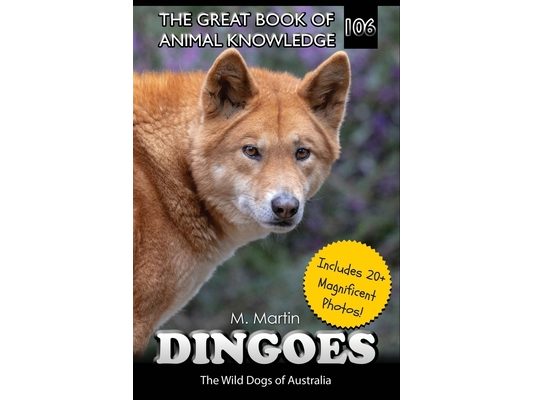 Dingoes: The Wild Dogs of Australia