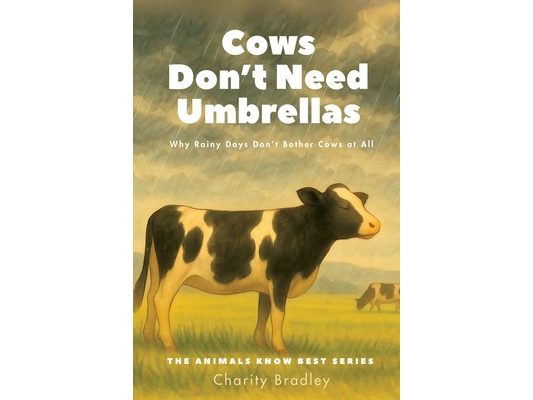 Cows Don't Need Umbrellas: Why Rainy Days Don't Bother Cows at All