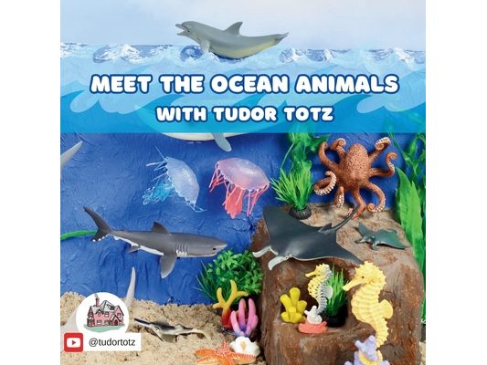 Meet the Ocean Animals with Tudor Totz