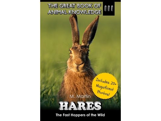 Hares: The Fast Hoppers of the Wild