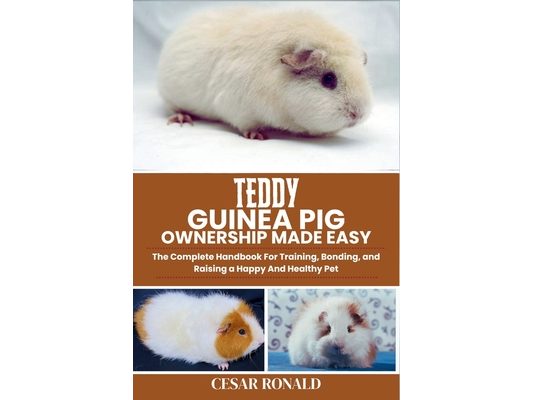 Teddy Guinea Pig Ownership Made Easy: The Complete Handbook For Training, Bonding, and Raising a Happy And Healthy Pet
