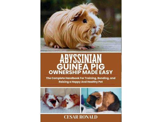 Abyssinian Guinea Pig Ownership Made Easy: The Complete Handbook For Training, Bonding, and Raising a Happy And Healthy Pet