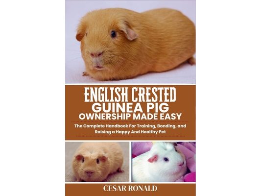 English Crested Guinea Pig Ownership Made Easy: The Complete Handbook For Training, Bonding, and Raising a Happy And Healthy Pet