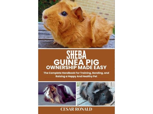 Sheba Guinea Pig Ownership Made Easy: The Complete Handbook For Training, Bonding, and Raising a Happy And Healthy Pet