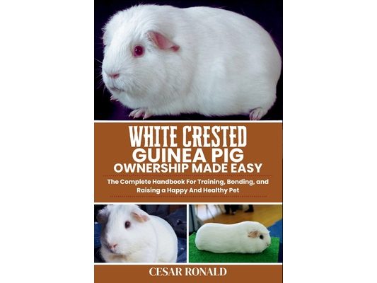 White Crested Guinea Pig Ownership Made Easy: The Complete Handbook For Training, Bonding, and Raising a Happy And Healthy Pet