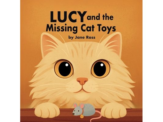Lucy and the Missing Cat Toys
