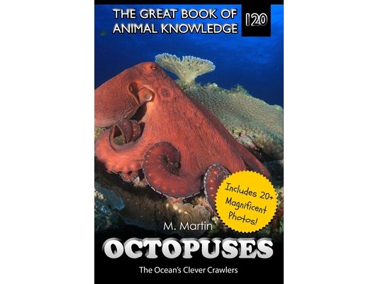 Octopuses: The Ocean's Clever Crawlers