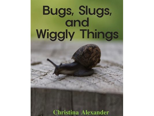 Bugs, Slugs, and Wiggly Things