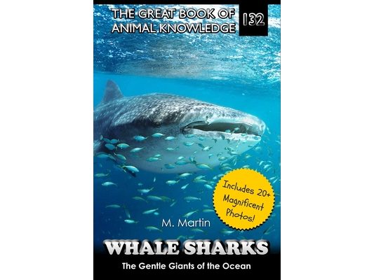 Whale Sharks: The Gentle Giants of the Ocean