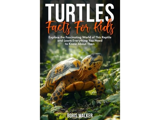 Turtles Facts for Kids: Explore the Fascinating World of This Reptile and Learn Everything You Need to Know About Them