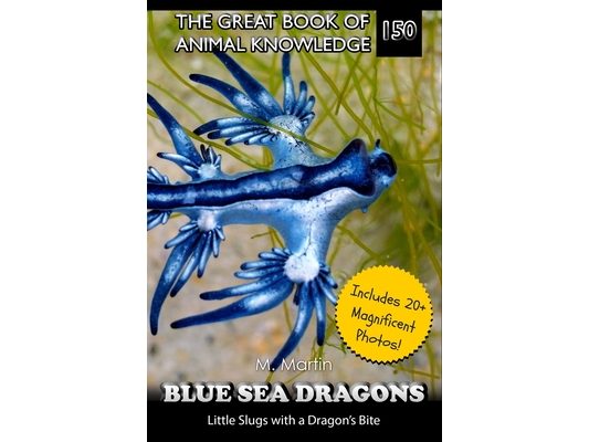 Blue Sea Dragons: Little Slugs with a Dragon's Bite