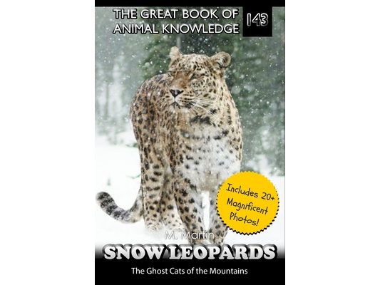 Snow Leopards: The Ghost Cats of the Mountains