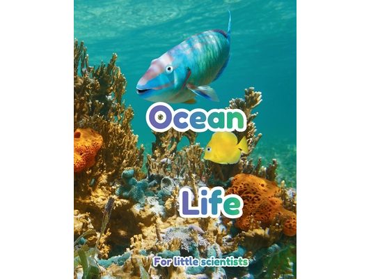 Ocean Life