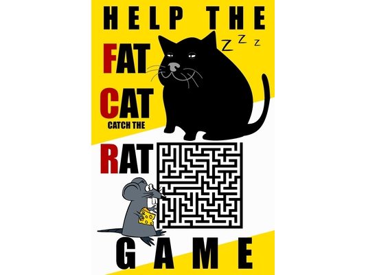 Help the Fat Cat Catch the Rat: A Hilarious Maze Adventure Book for Kids & Families - Screen-Free Fun in a 6"x9" Game Book Packed with 100 Solved Maze