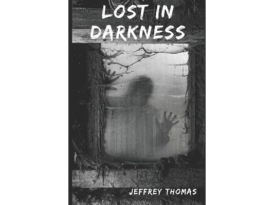 Lost in Darkness: a YA horror novel