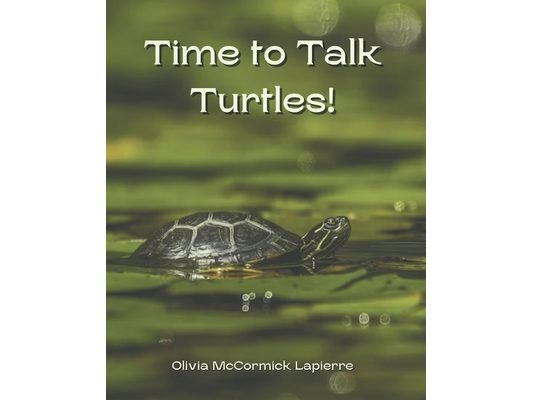 Time to Talk Turtles!