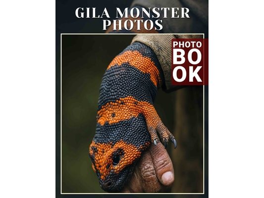 Gila Monster Photos Photo Book: Explore 40 Stunning Images Of The Unique Gila Monster In Its Natural Habitat