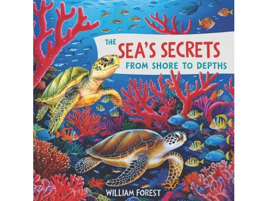 The Sea's Secrets: from shore to depths