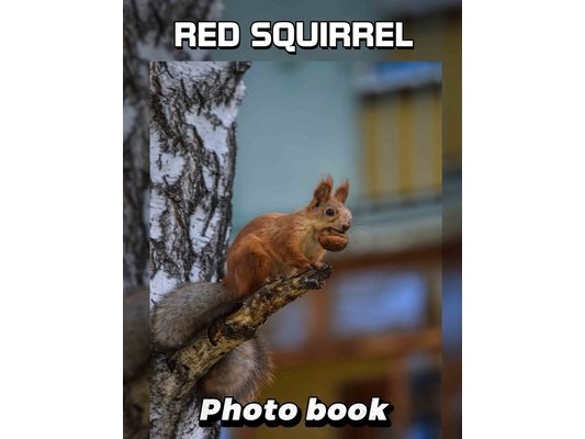 Red Squirrel Photo Book: 40 Stunning Images Capturing Nature's Playful Rodent For Animal Lovers and Enthusiasts