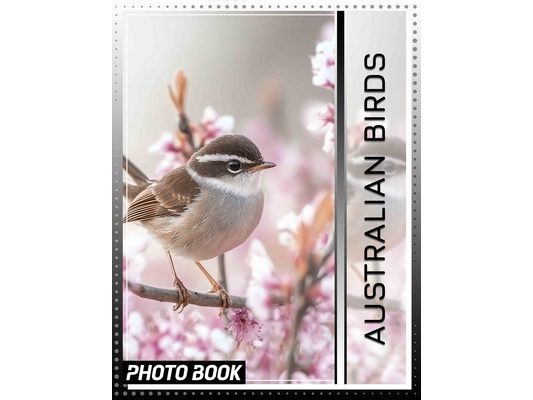 Australian Birds Photo Book: Explore 40 Stunning Images Showcasing The Diversity Of Unique Avian Species Down Under