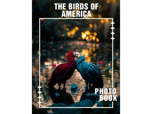 The Birds of America Photo Book: Explore 40 Beautifully Captured Images of Native Avian Species Across America