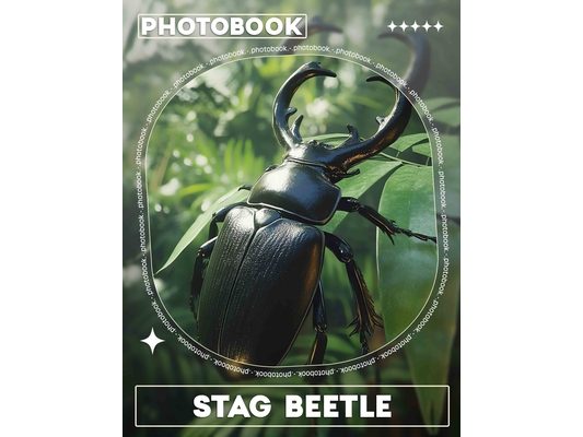 Stag Beetle Photo Book: Explore 40 Stunning Images Of This Majestic Insect, Perfect For Entomology Enthusiasts And Nature Lovers