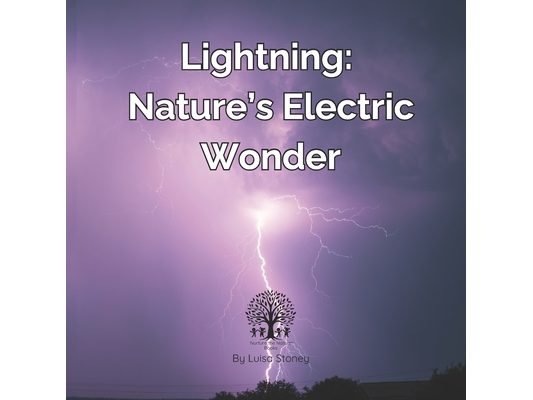 Lightning: Nature's Electric Wonder