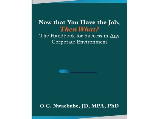 Now that You Have the Job, Then What?: The Handbook for Success in Any Corporate Environment