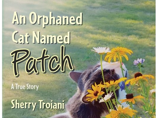 An Orphaned Cat Named Patch: A True Story