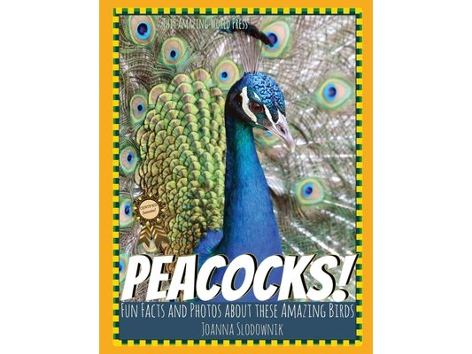 Peacocks! Fun Facts and Photos About These Amazing Birds for Kids