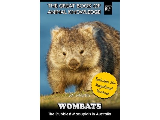 Wombats: The Stubbiest Marsupials in Australia