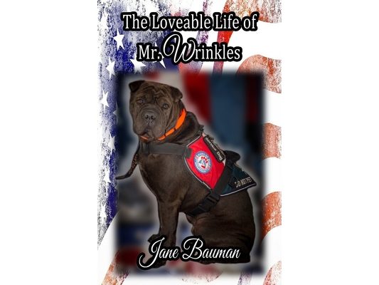 The Loveable Life of Mr. Wrinkles