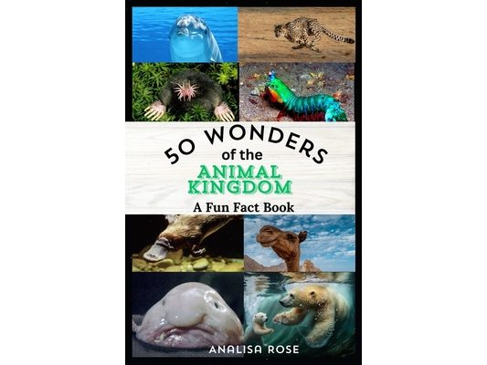 50 Wonders of the Animal Kingdom: A Fun Fact Collection