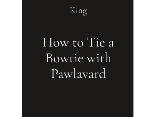 How to Tie a Bowtie with Pawlavard
