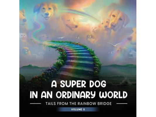 A Super Dog in an Ordinary World: Tales From The Rainbow Bridge Volume II