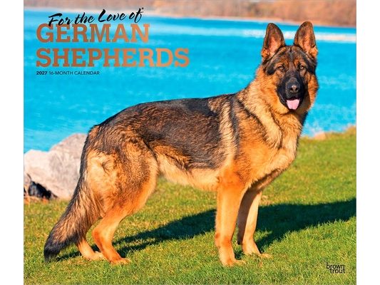 For the Love of German Shepherds 2027 14 X 24 Inch (Hanging) Monthly Deluxe Wall Calendar Foil Stamped Cover Plastic-Free